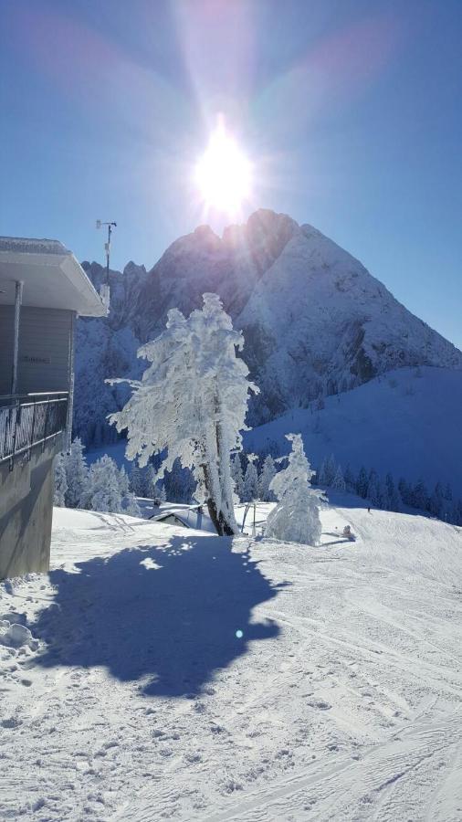 Gaestehaus Walpurga Rußbach am Paß Gschütt Zewnętrze zdjęcie