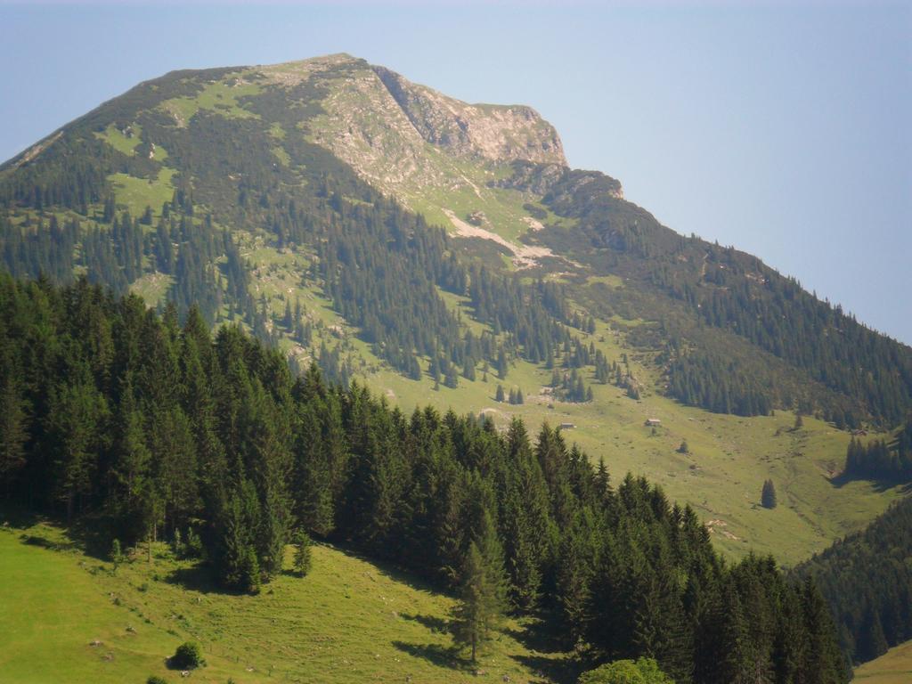 Gaestehaus Walpurga Rußbach am Paß Gschütt Zewnętrze zdjęcie